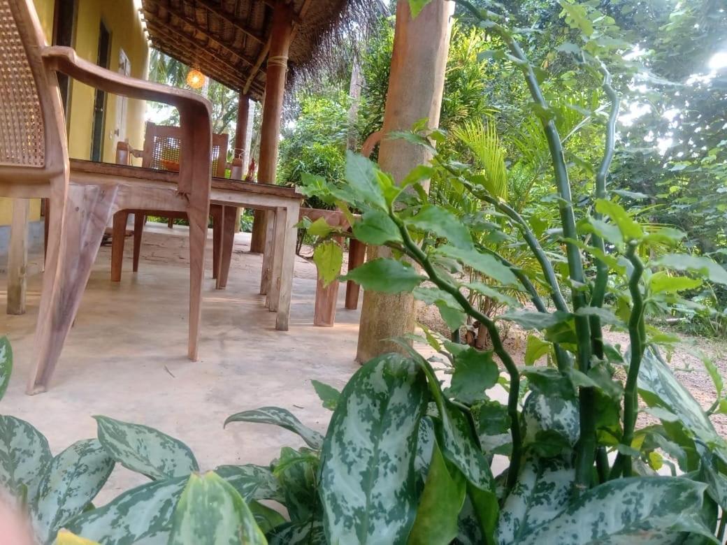 Hôtel Kelaya At Hiriketiya Collection à Dikwella Extérieur photo