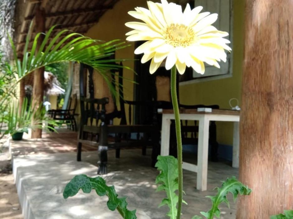 Hôtel Kelaya At Hiriketiya Collection à Dikwella Extérieur photo